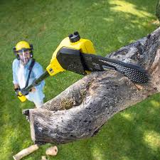 Lawn Maintenance Plans in Tappahannock, VA